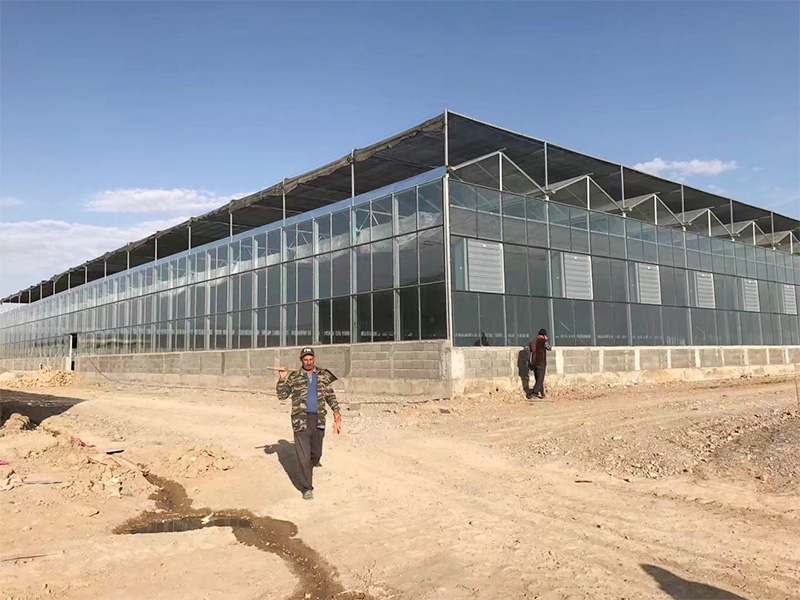Glass Greenhouse