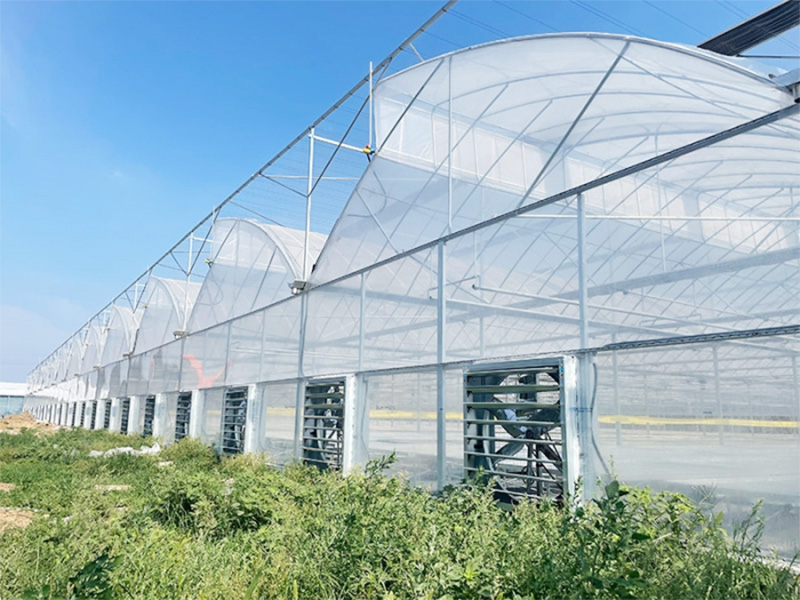 Tropical Fruit Greenhouse Project